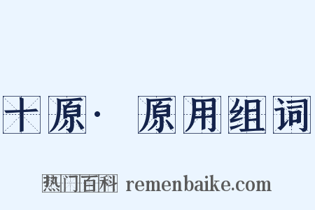 十原·原用组词是什么意思的图片